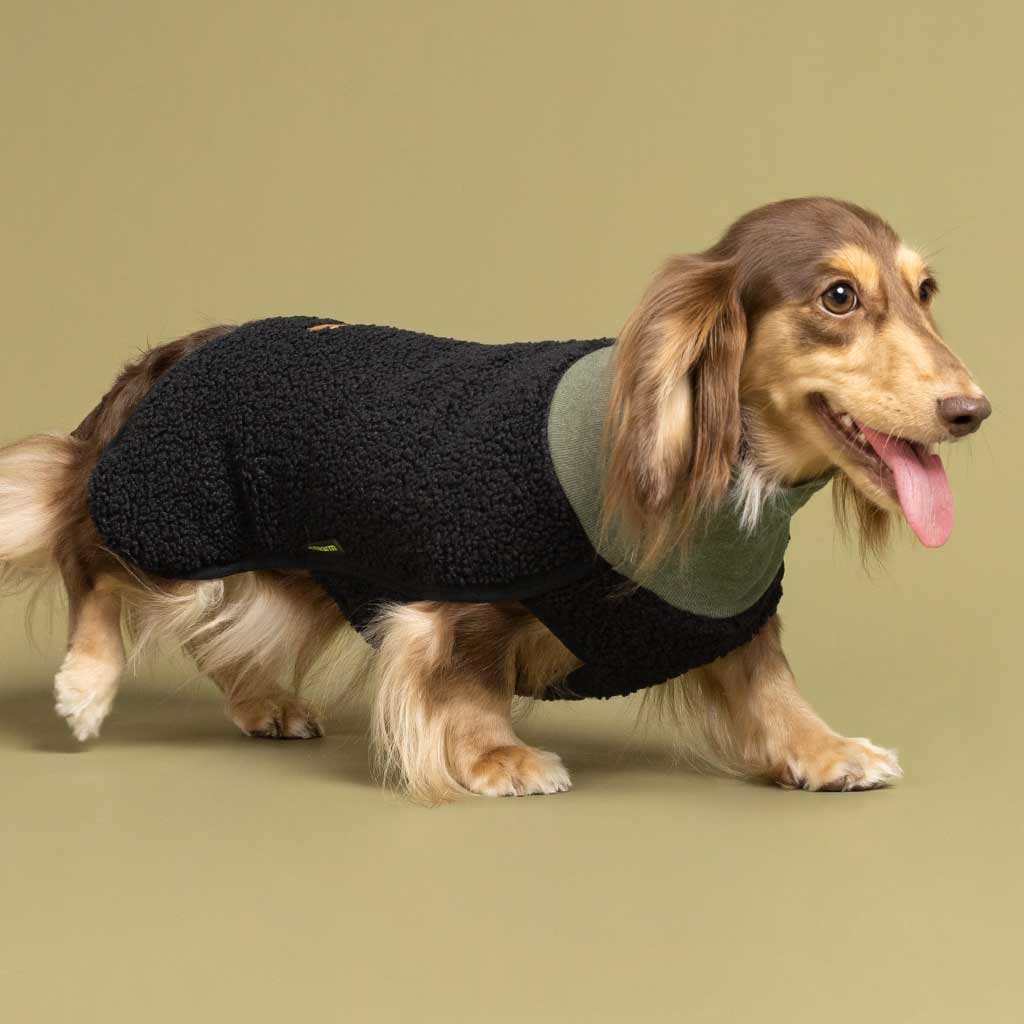 Fuzzy Turtleneck Sweater for Dogs - Fitwarm Dog Clothes