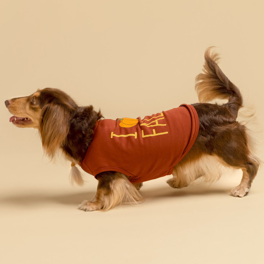 Cute Shirt for Dogs - Fitwarm Dog Clothes