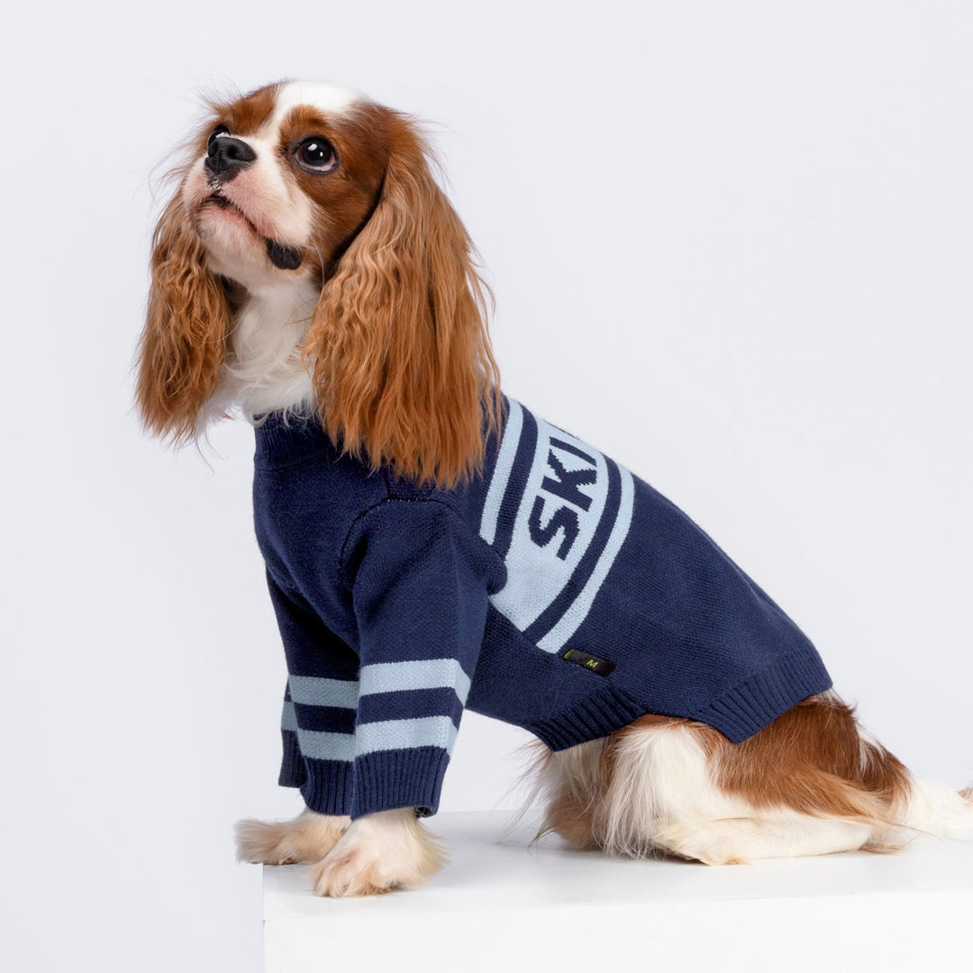 Cavalier King Charles Spaniel in a Ski Club Dog Sweater - Fitwarm Dog Clothes