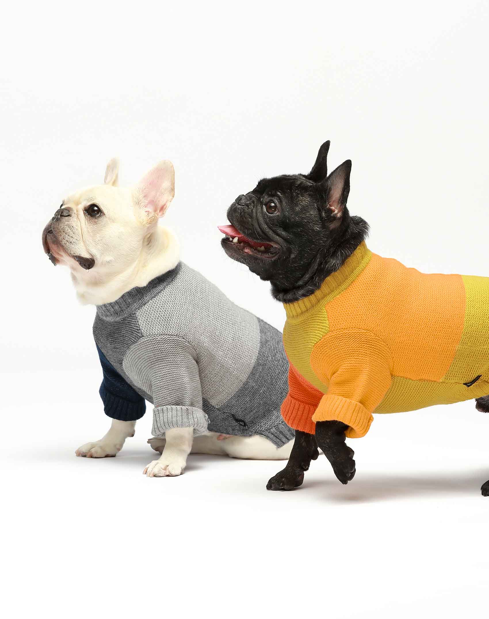 Dog Sweater, Pack of 2 or 3, Dog Clothes, Dog Coat, Dog Jacket for