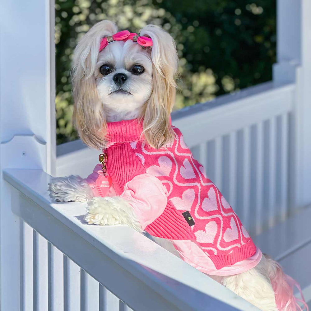 Dog Valentine Sweater - Fitwarm Dog Clothes