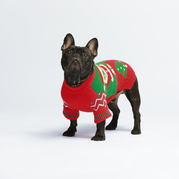 French Bulldog in a Funny Christmas Dog Sweater - Fitwarm Dog Clothes