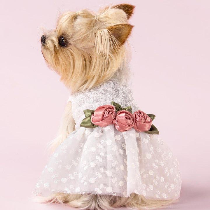 Yorkie in a Wedding Dog Dress - Fitwarm Dog Clothes