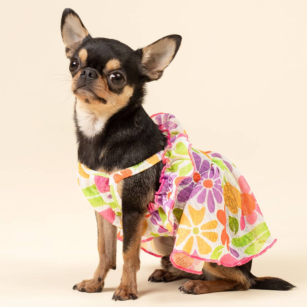 Colorful Floral Dog Dress - Fitwarm Dog Clothes