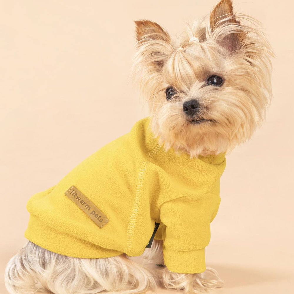 Yorkie in a Turtleneck Dog Sweater - Fitwarm Dog Clothes