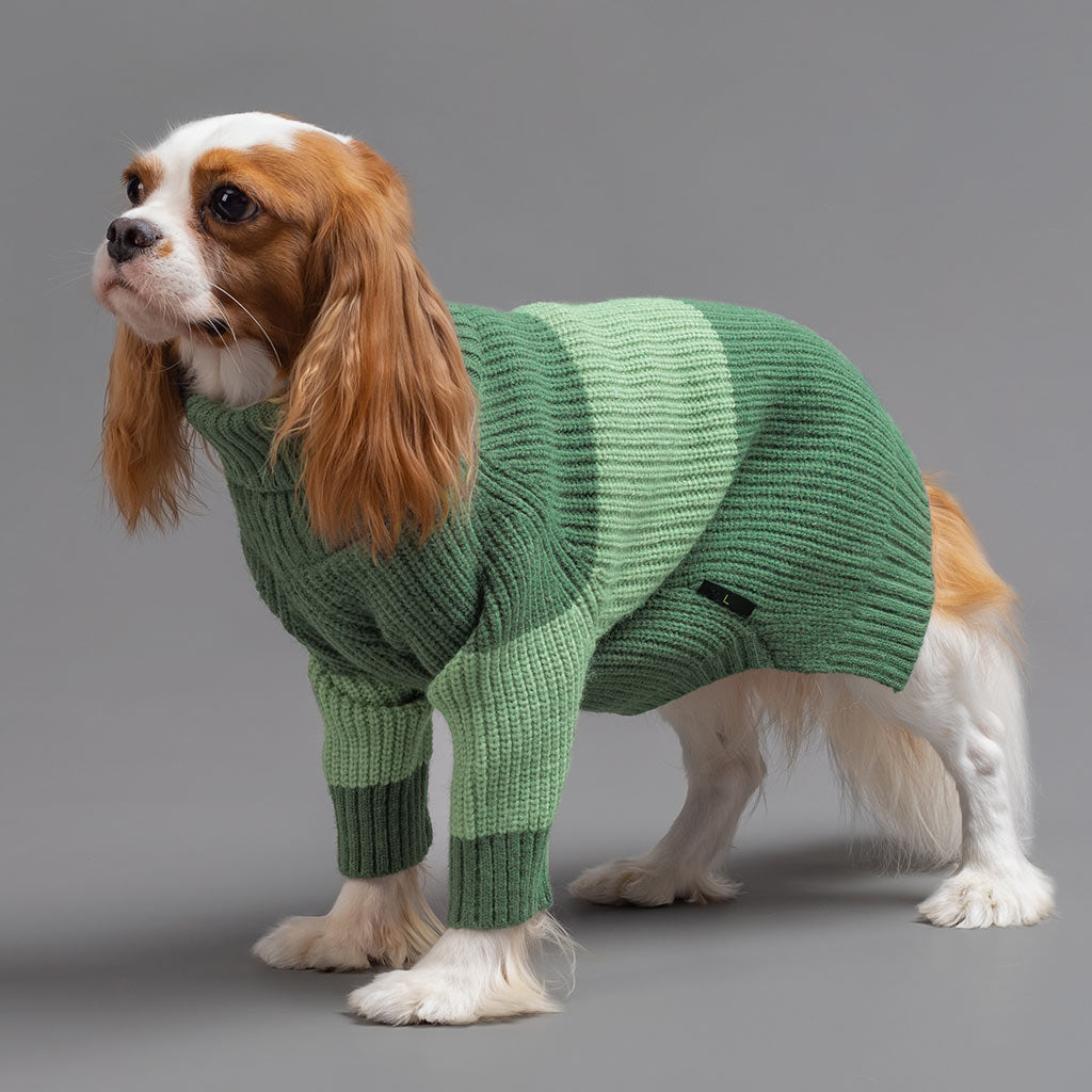 Knitted Sweater for Dogs - Fitwarm Dog Clothes