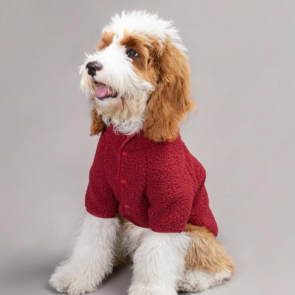 Sherpa Dog Sweater - Fitwarm Dog Clothes