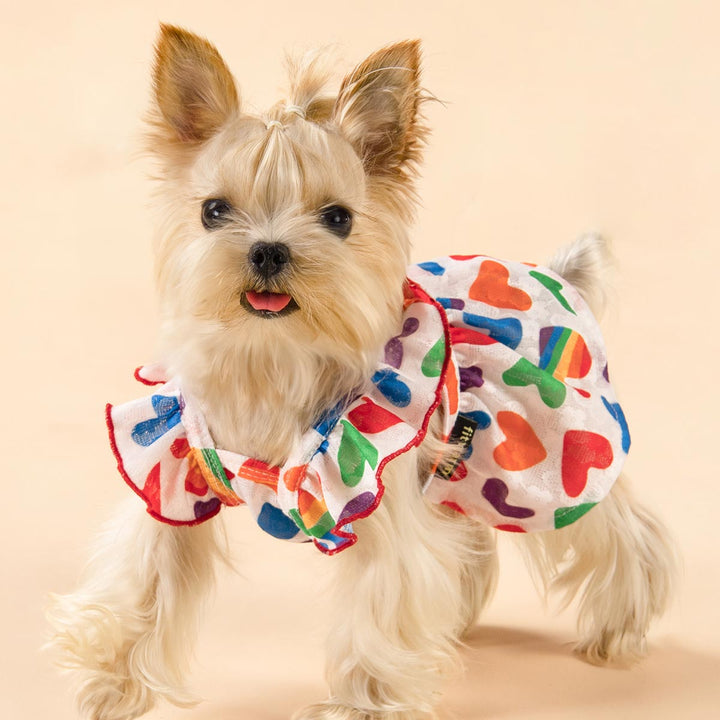 Rainbow Heart Dog Dress for Yorkie - Fitwarm Dog Clothes