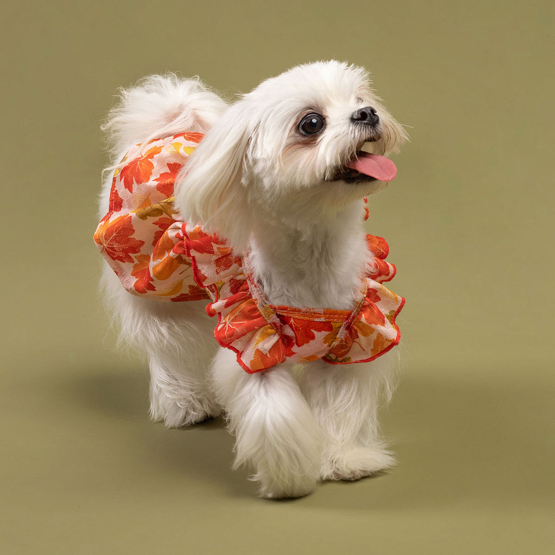 Ruffle Dress for Dogs - Fitwarm Dog Clothes