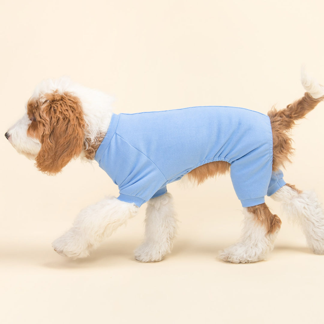 Lightweight Velvet Dog Onesie - Fitwarm Dog Pajamas