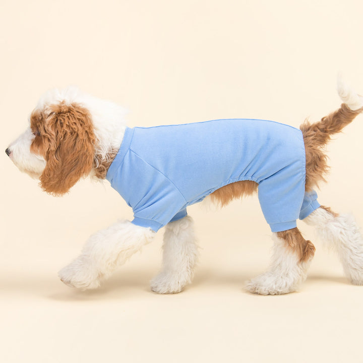 Lightweight Velvet Dog Onesie - Fitwarm Dog Pajamas