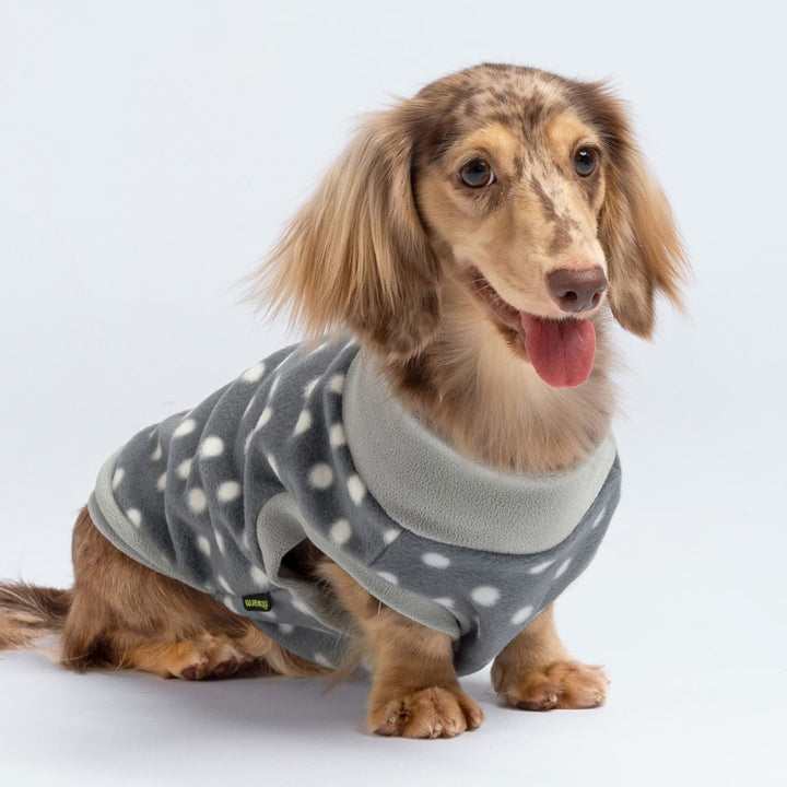 Turtleneck Polka Dot Dog Sweater - Fitwarm Dog Clothes