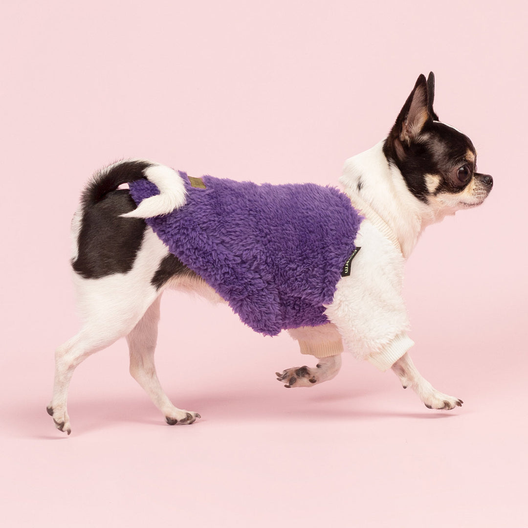 Cozy Winter Sweater for Dogs - Fitwarm Dog Clothes