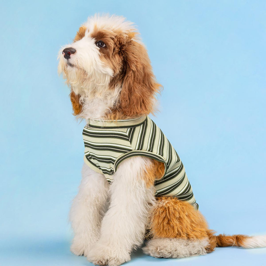 Surgery Suit for Dogs - Fitwarm Dog Clothes