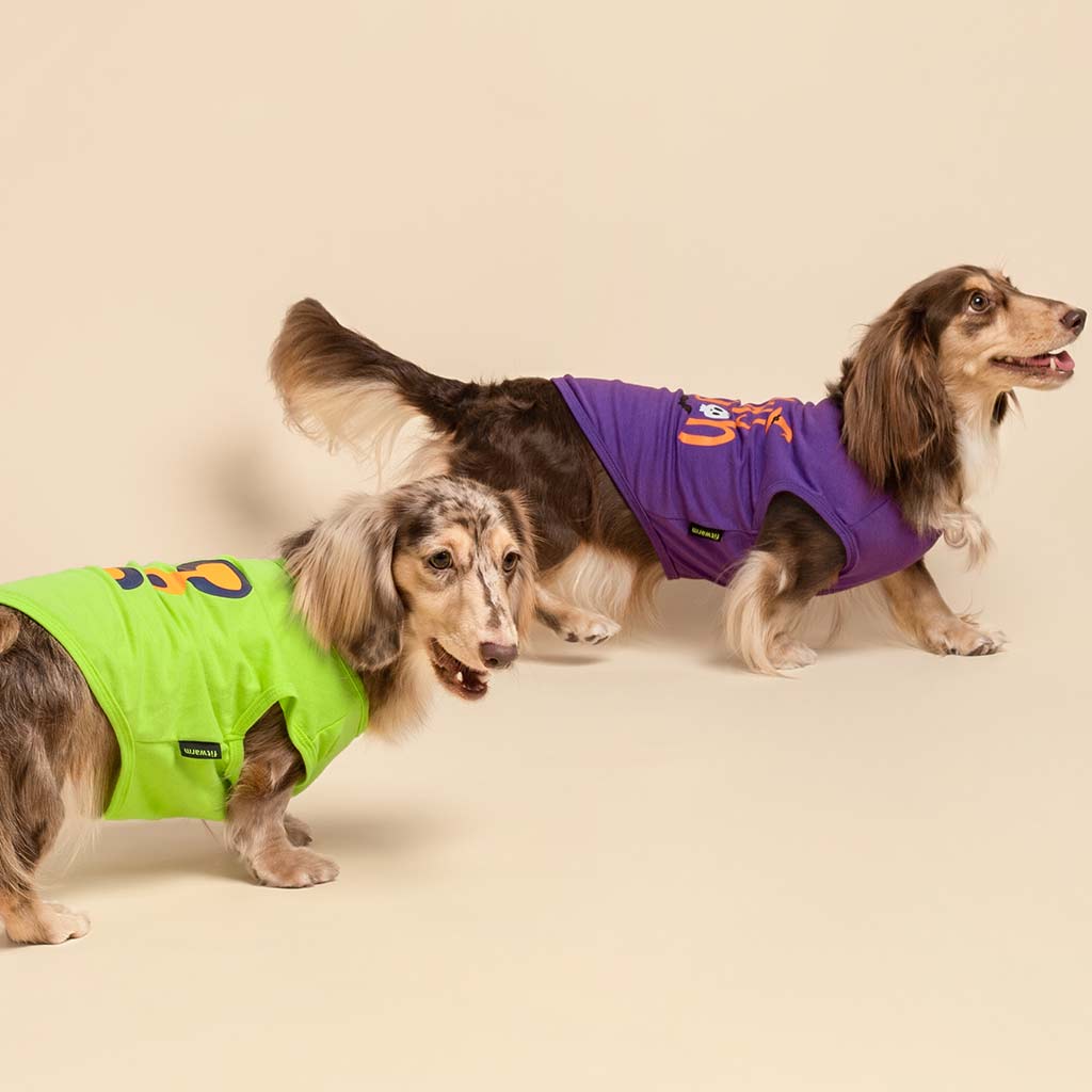 Spooky Halloween Dog Costume - FItwarm Dog Clothes