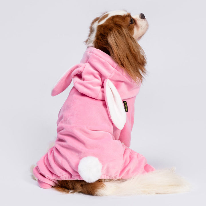 Adorable Bunny Costume for Dogs - Fitwarm Dog Clothes