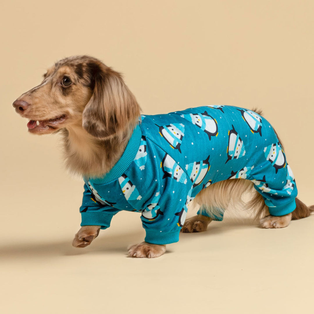 Dachshund in a Cute Penguin Dog  Onesie - Fitwarm Dog Clothes