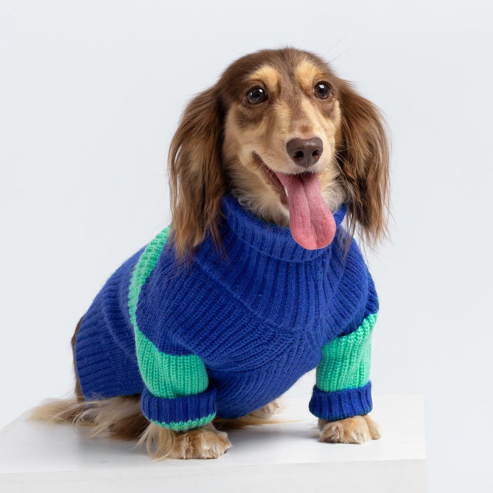 Turtleneck Color Block Dog Sweater - Fitwarm Dog Clothes