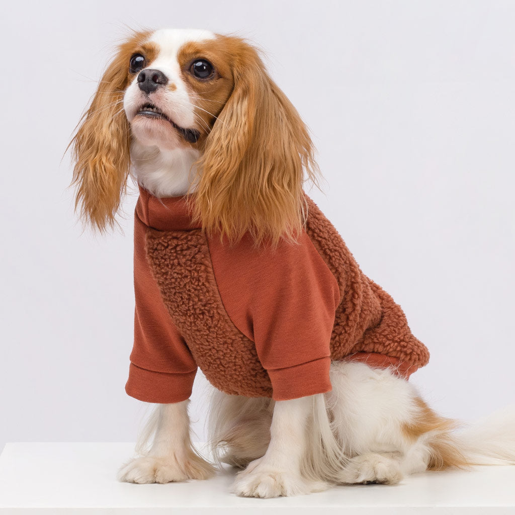 Fuzzy Winter Dog Sweater - Fitwarm Dog Clothes