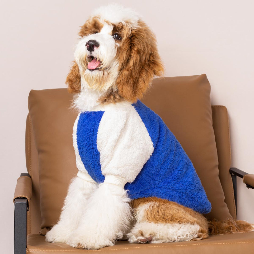 Fuzzy Winter Dog Sweater - Fitwarm Dog Clothes