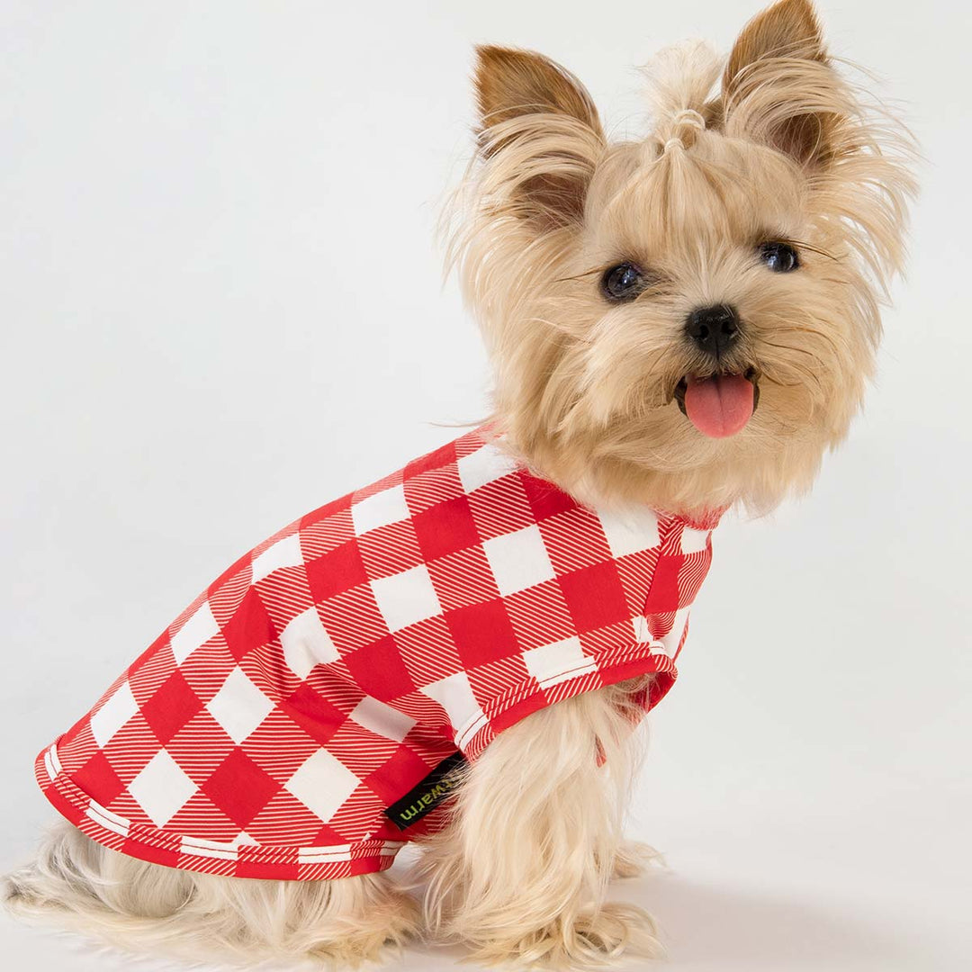 Yorkie in a Plaid Dog Shirt - Fitwarm Dog Clothes