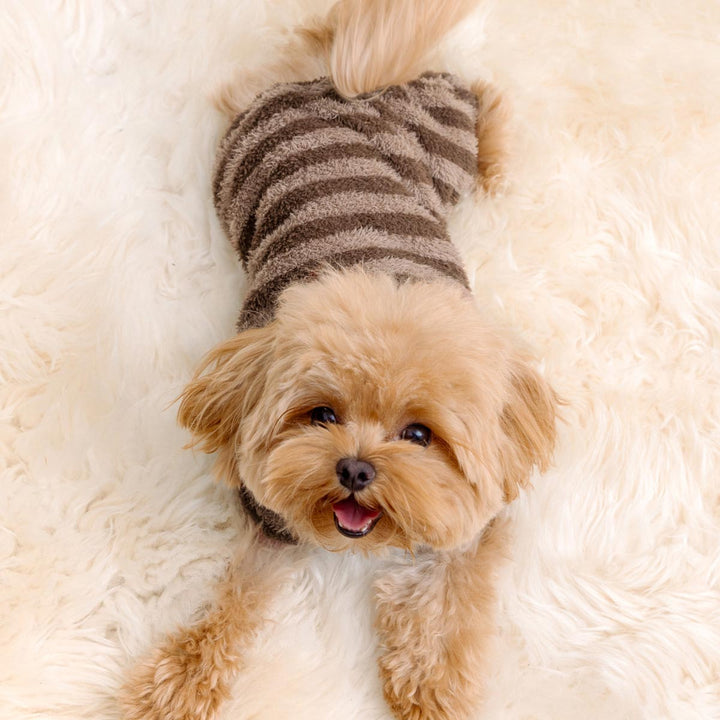 Maltipoo in a Winter Striped Dog Pajamas - Fitwarm Dog Onesie 