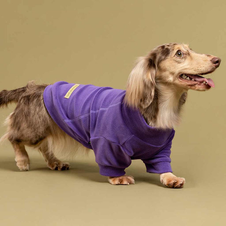 Cozy Turtleneck Sweater for Dogs - Fitwarm Dog Clothes