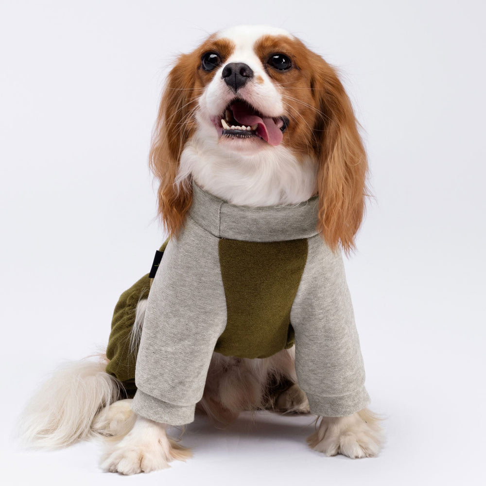 Cozy Turtleneck Dog Pajamas - Fitwarm Dog Onesie