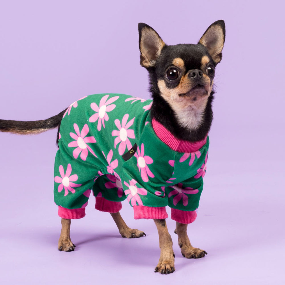 Cozy Fleece Pajamas for Dogs - Fitwarm Dog Onesie