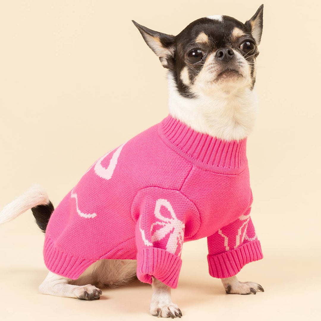 valentine's clothes for dogs