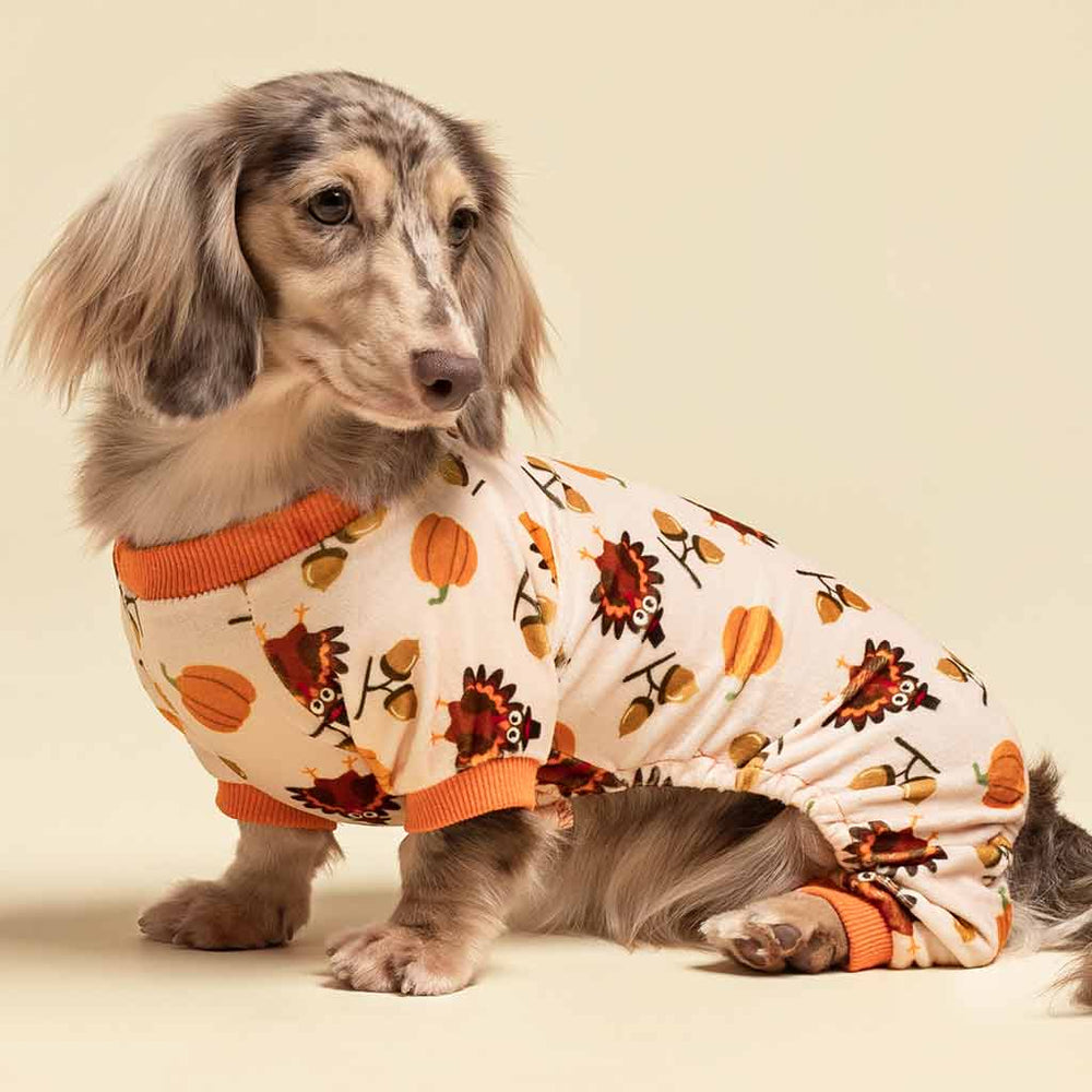 Dog Onesie with Turkey Prints for Thanksgiving Days - Fitwarm Dog Clothes