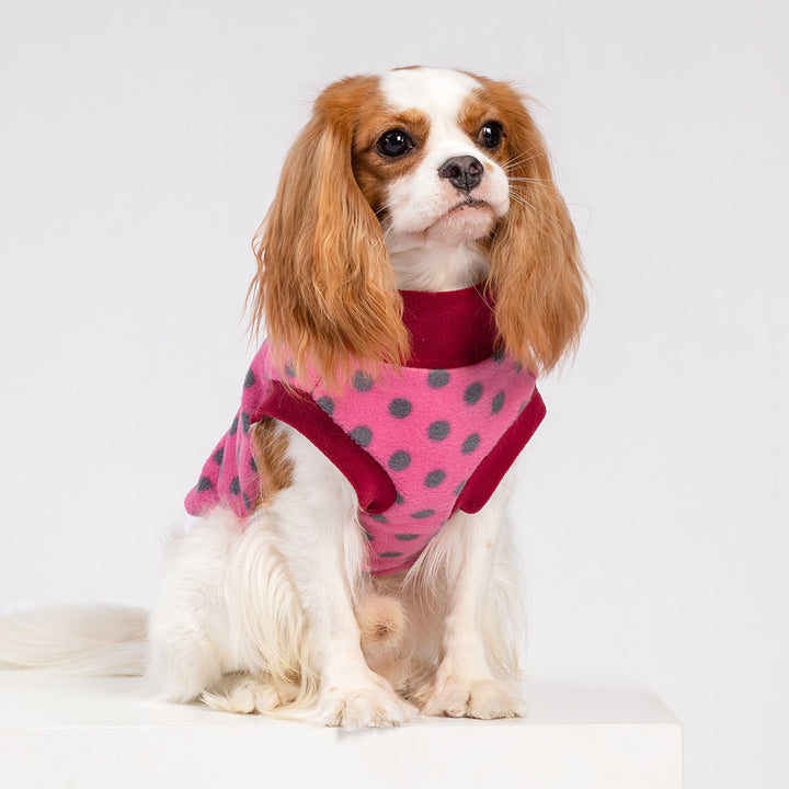 Turtleneck Sweater for Dogs - Fitwarm Dog Clothes