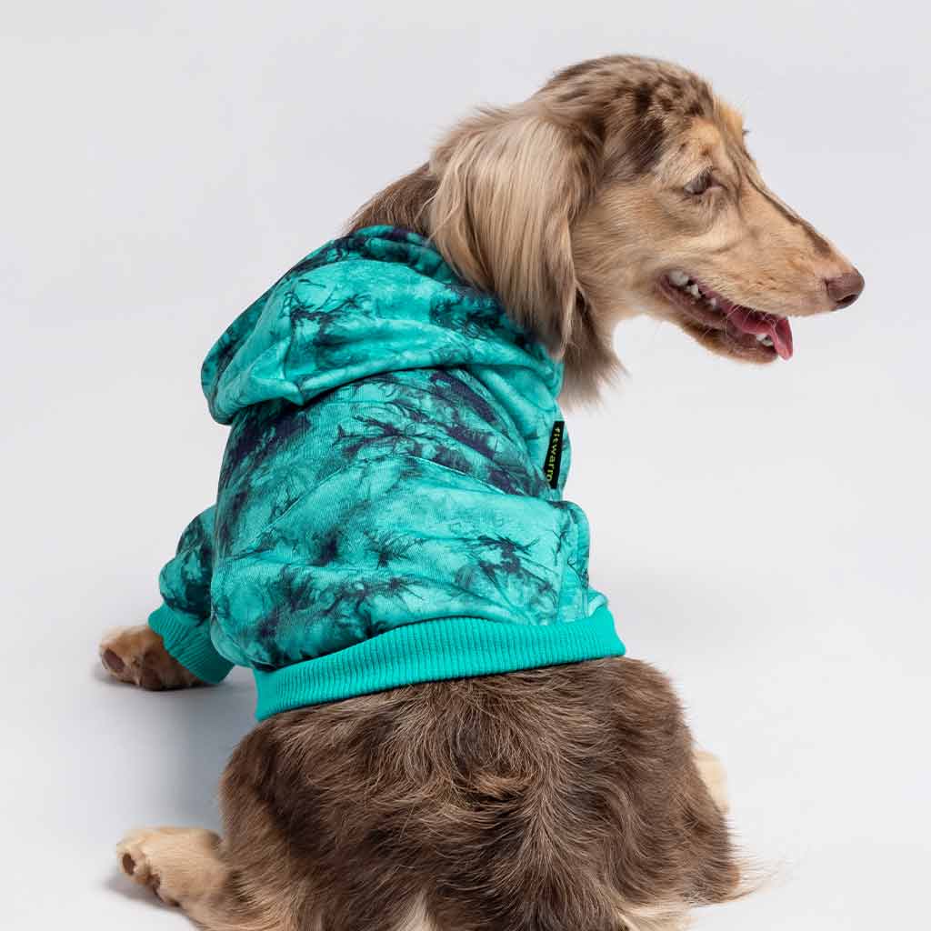 Dachshund in a Classic Tie Dye Dog Hoodie - Fitwarm Dog Clothes