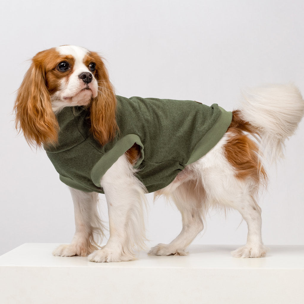 Turtleneck Winter Sweater for Dogs - Fitwarm Dog Clothes