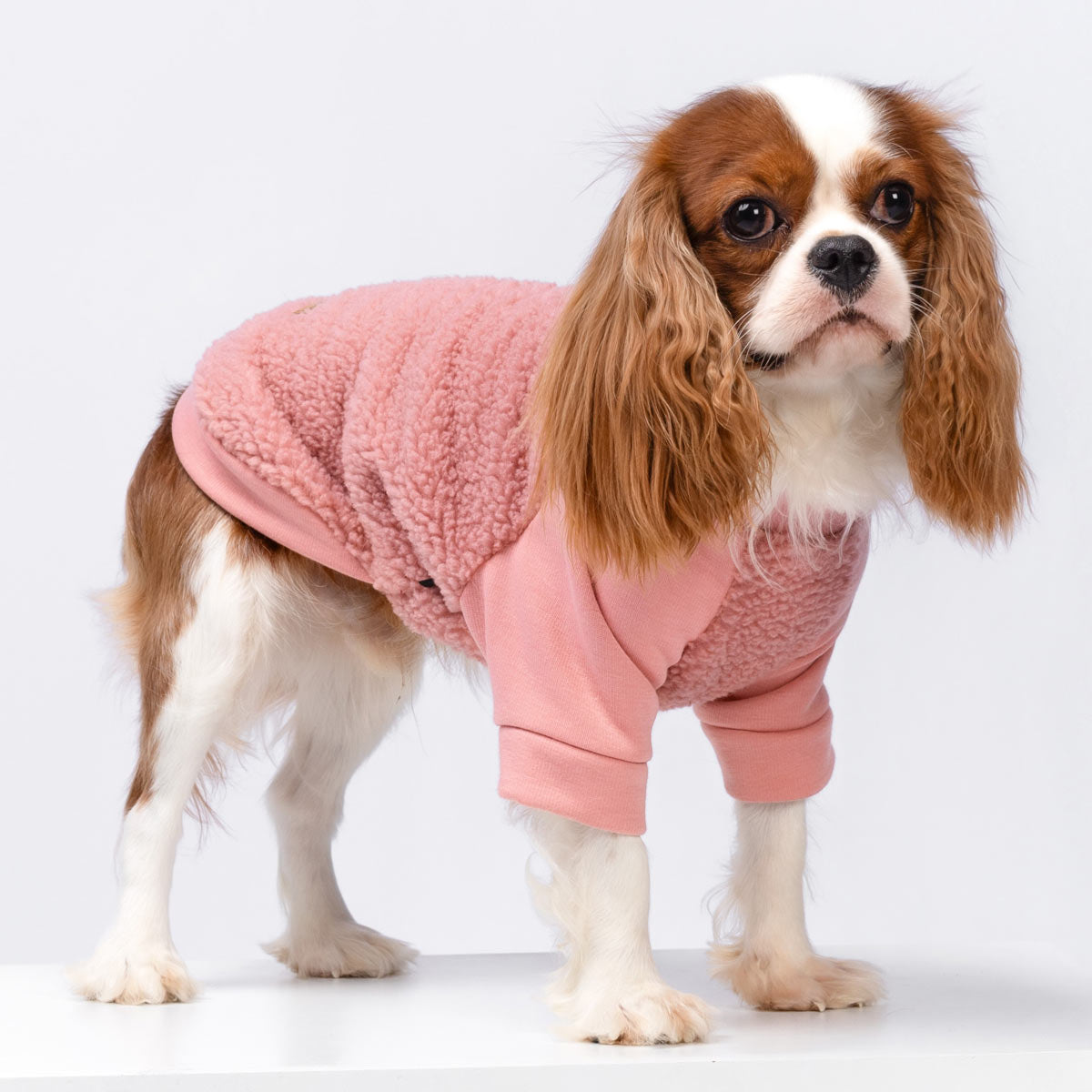 Fashion dog sherpa sweater