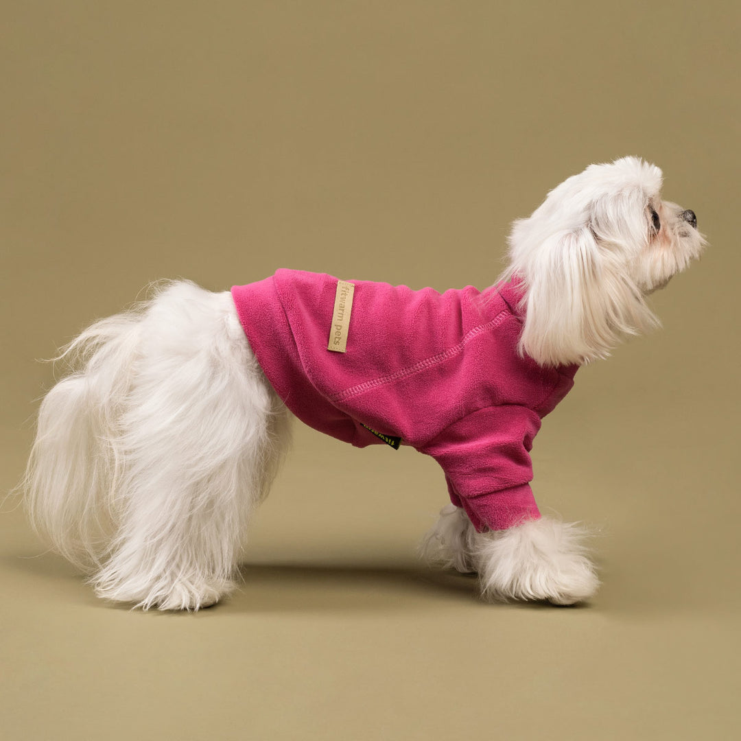 Turtleneck Dog Winter Sweater - Fitwarm Dog Clothes