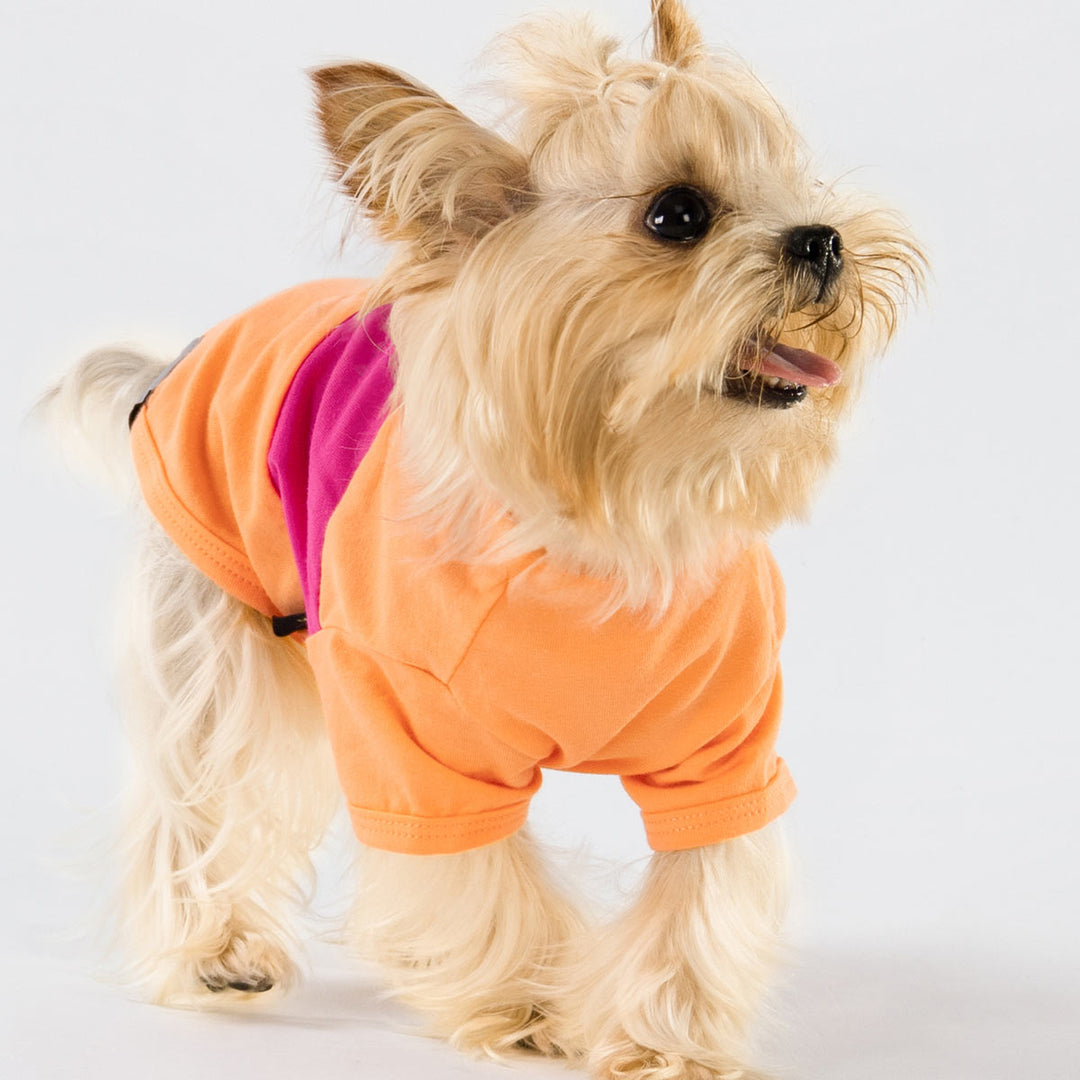 Summer Color Block Dog Shirt for Yorkie - Fitwarm Dog Clothes