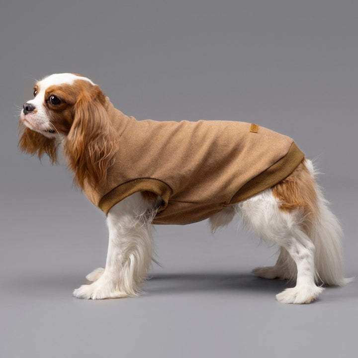 Cozy Dog Winter Coat - Fitwarm Dog Clothes