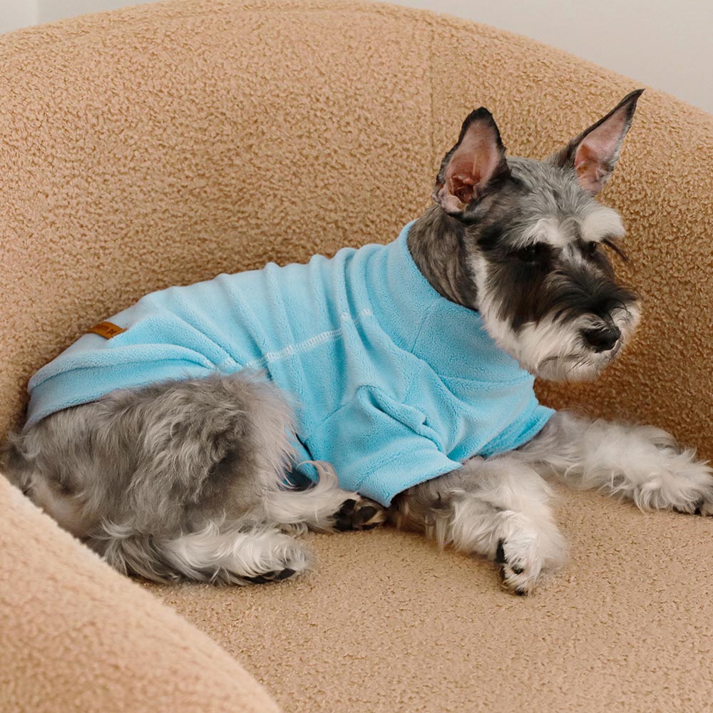 Schnauzer Sweater - Schnauzer Clothes - Fitwarm