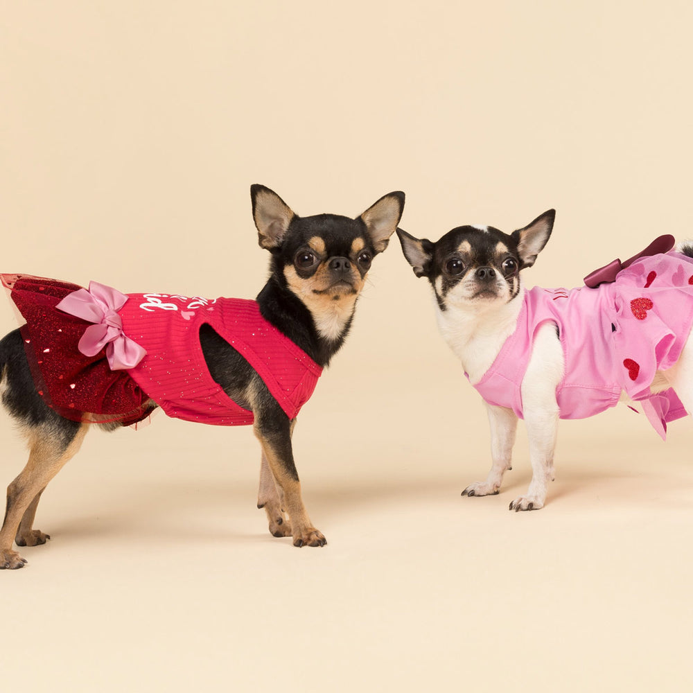 Cuter Than Cupid Tulle Dog Dress - Fitwarm Valentine Dog Outfit