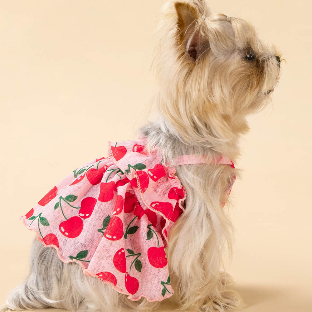 Yorkie in Cherry Summer Dog Dress - Fitwarm Dog Clothes