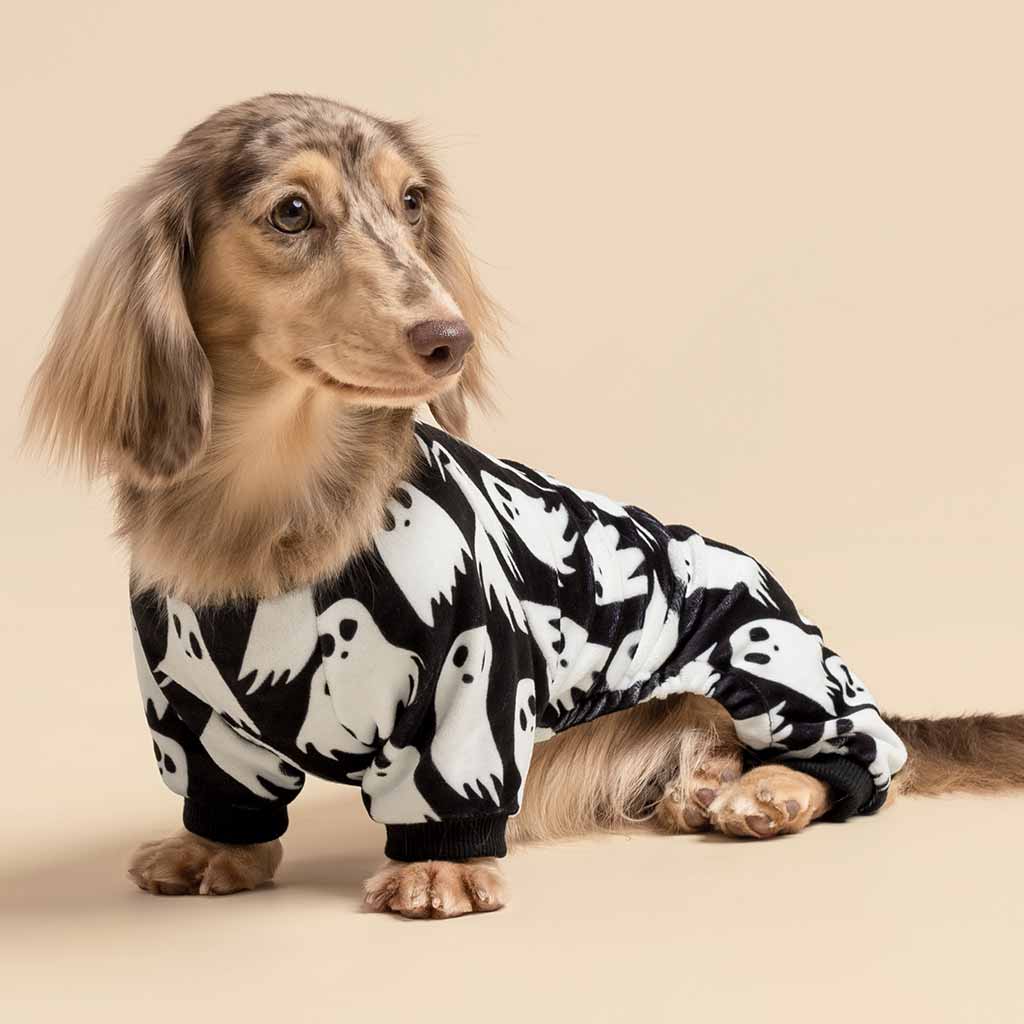 Funny Halloween Onesie for Dog - Fitwarm Dog Pajamas