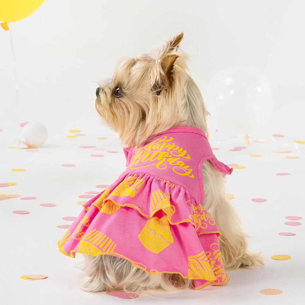 Yorkie in a Birthday Themed Dog Dress - Fitwarm Dog Clothes