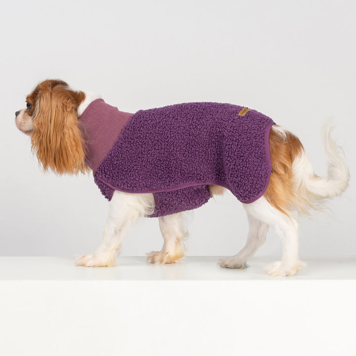 Winter Dog Turtleneck Sweater - Fitwarm Dog Clothes 