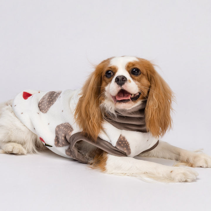 Cute Hedgehog Print Sweater for Dogs - Fitwarm Dog Clothes