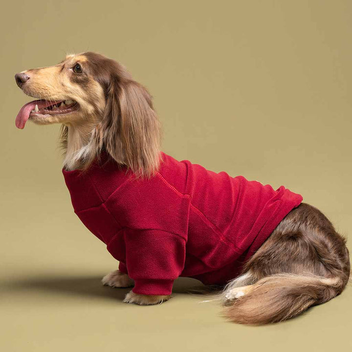 Turtleneck Fleece Dog Sweater - Fitwarm Dog Clothes