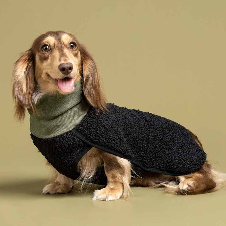 Sherpa Sweater for Dogs - Fitwarm Dog Clothes