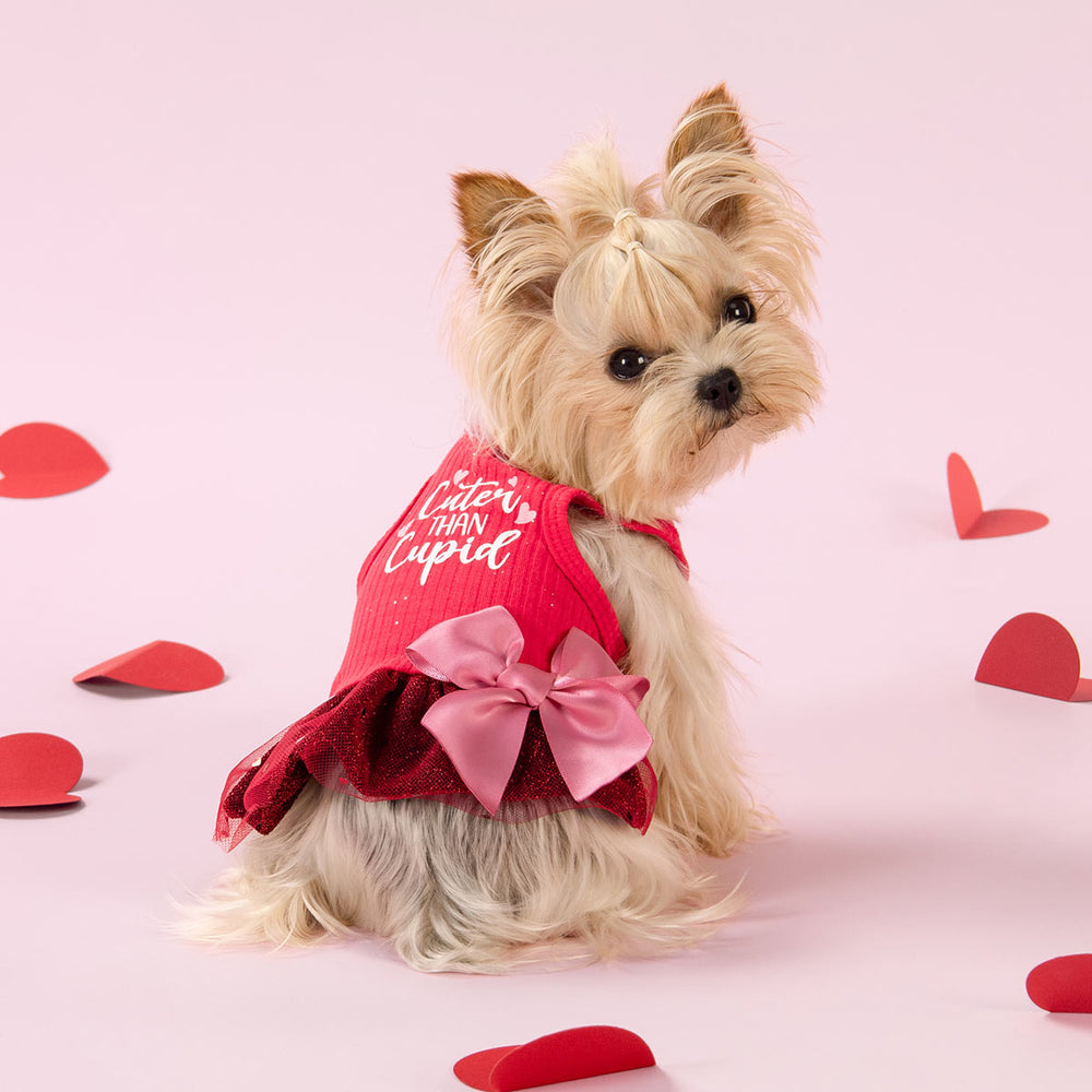 Yorkie in a Valentine Themed Dog Dress - Fitwarm Dog Clothes