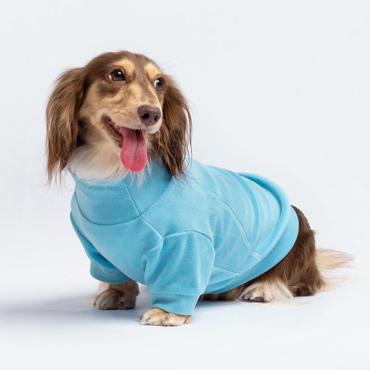 Dachshund in a Cozy Turtleneck Dog Sweater - Fitwarm Dog Clothes