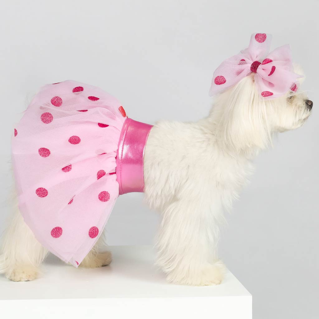 Dog Birthday Outfit Dog Birthday Clothes Fitwarm